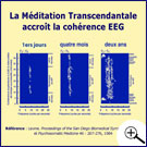 Graphique cohérence EEG durant la Méditation Transcendantale